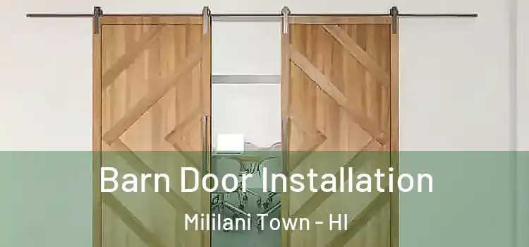 Barn Door Installation Mililani Town - HI