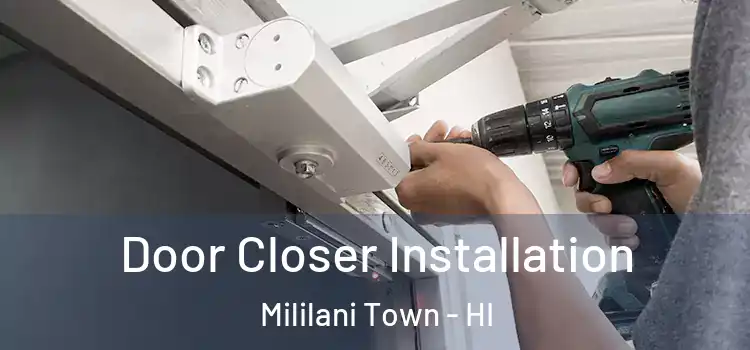 Door Closer Installation Mililani Town - HI