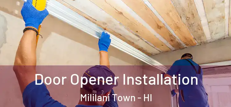  Door Opener Installation Mililani Town - HI