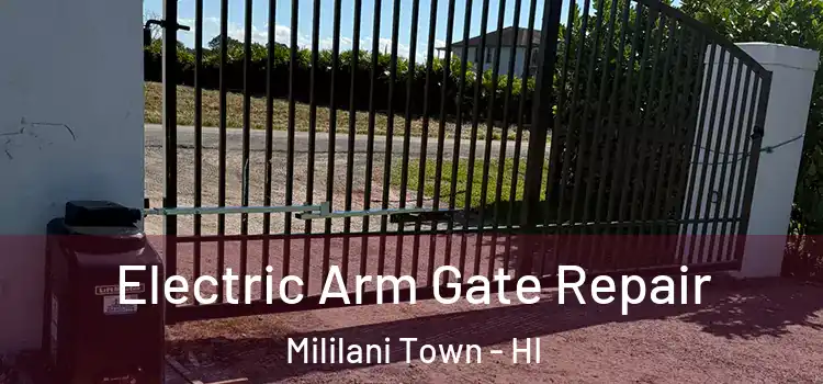 Electric Arm Gate Repair Mililani Town - HI