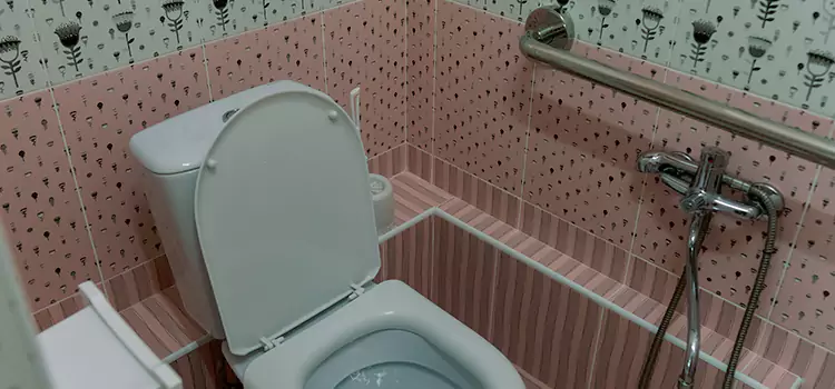 Meeting Diverse Needs With Accessible Restroom Solutions in Mililani Town, HI